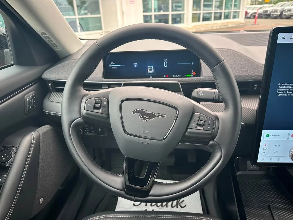 2025 Ford Mustang Mach-E - Image 20 of 20