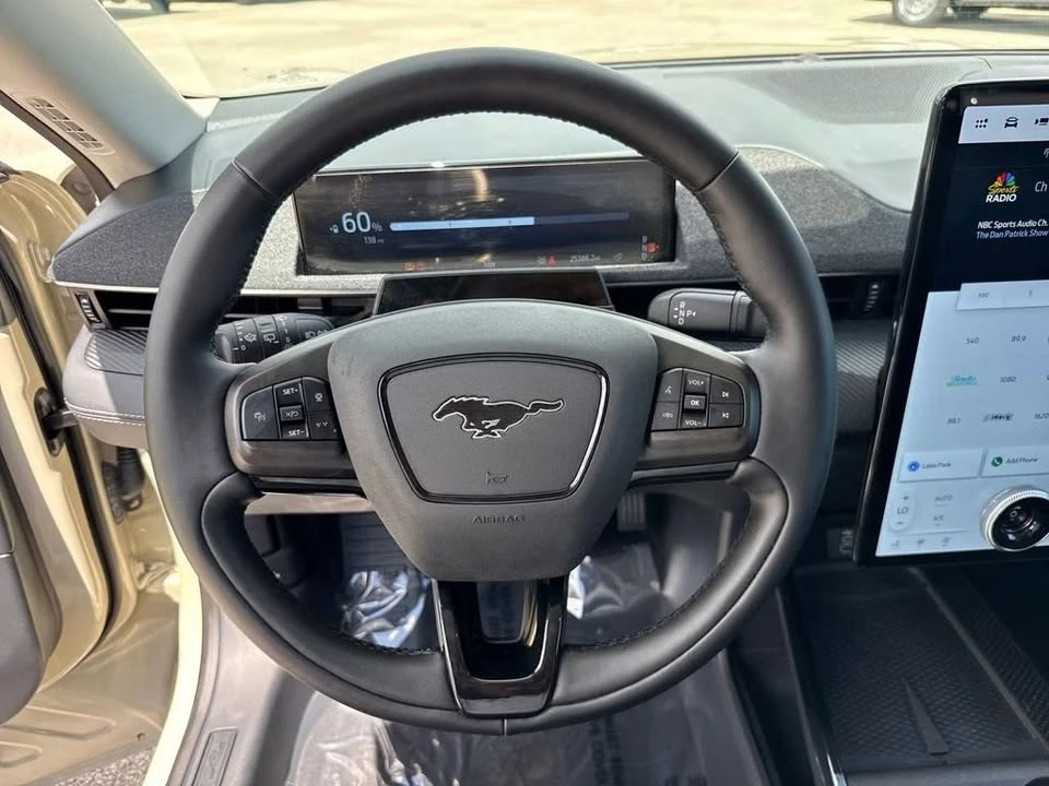 2025 Ford Mustang Mach-E - Image 15 of 20