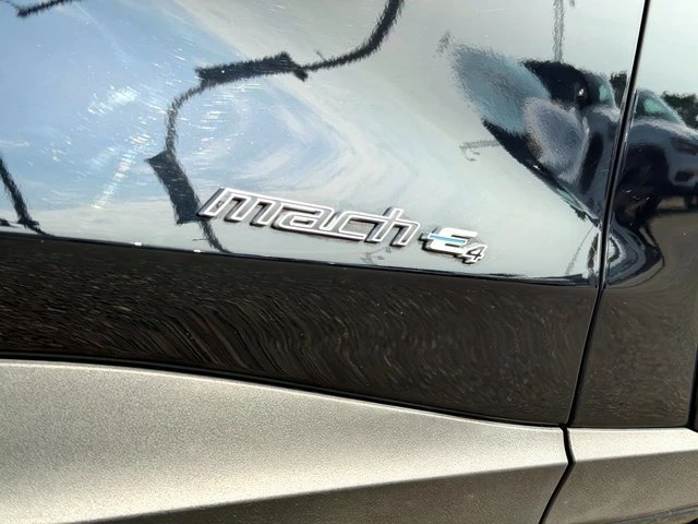 2025 Ford Mustang Mach-E - Image 10 of 20