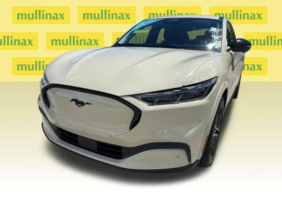 2025 Ford Mustang Mach-E - Image 10 of 20