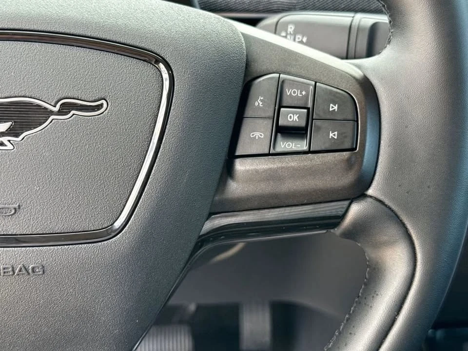 2025 Ford Mustang Mach-E - Image 17 of 20
