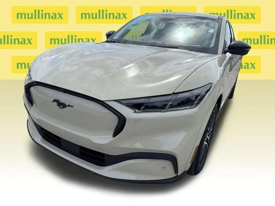 2025 Ford Mustang Mach-E - Image 10 of 20