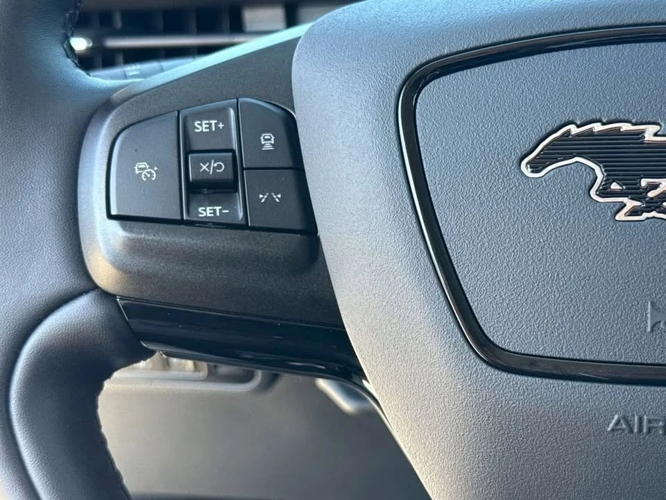 2025 Ford Mustang Mach-E - Image 11 of 20