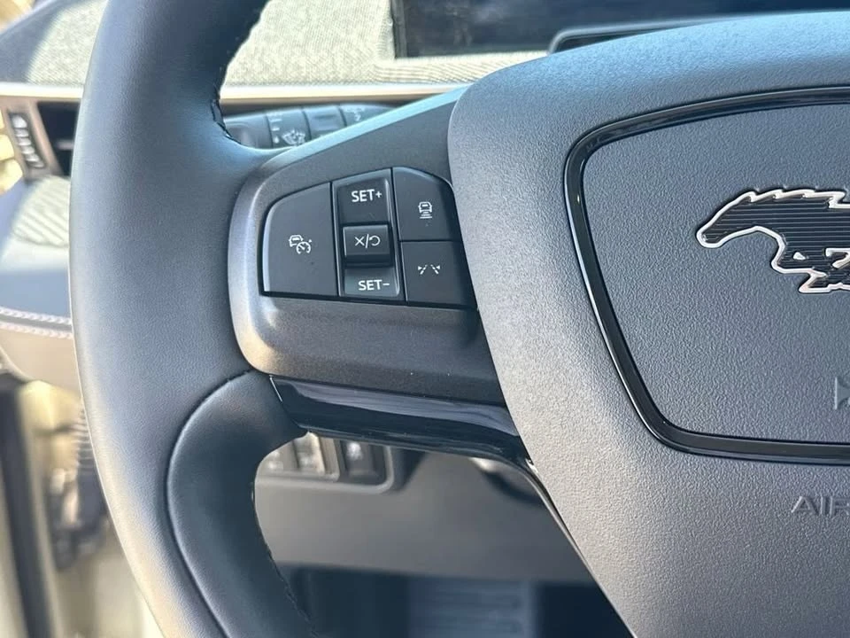 2025 Ford Mustang Mach-E - Image 12 of 20