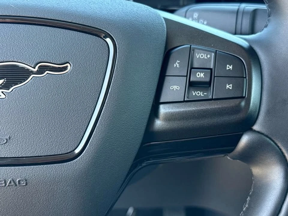2025 Ford Mustang Mach-E - Image 12 of 20