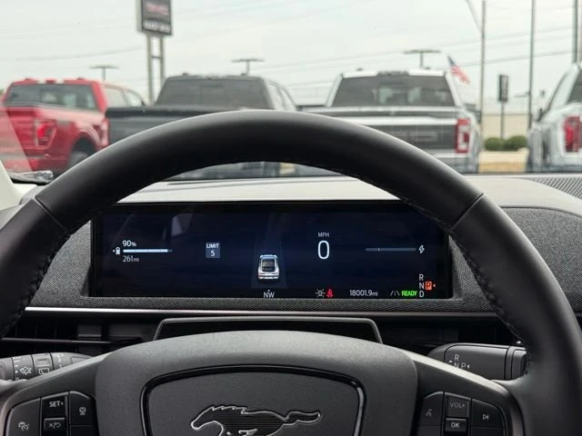 2025 Ford Mustang Mach-E - Image 10 of 20