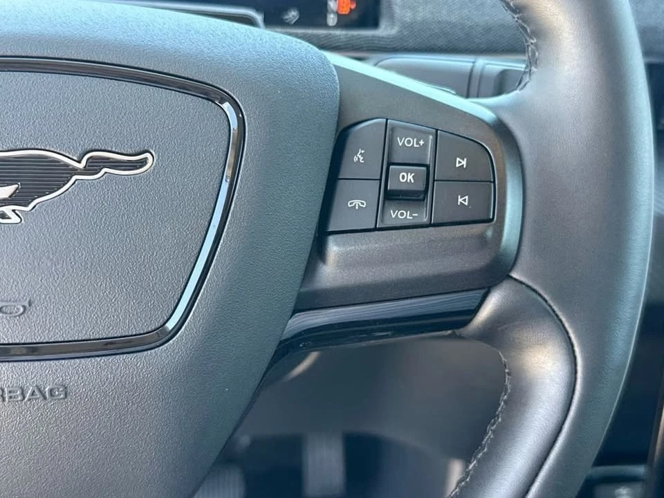 2025 Ford Mustang Mach-E - Image 13 of 20