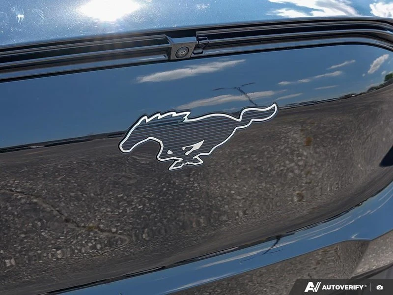 2025 Ford Mustang Mach-E - Image 3 of 10