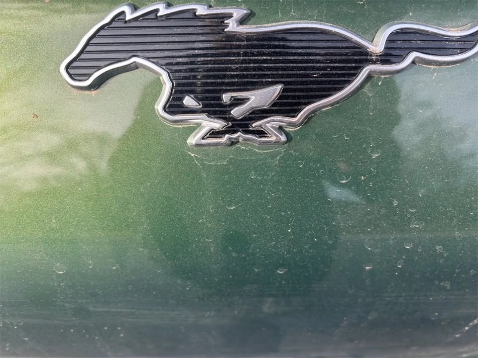 2025 Ford Mustang Mach-E - Image 9 of 20