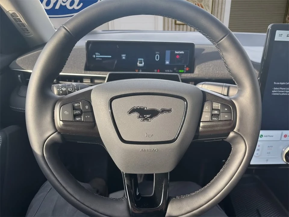 2025 Ford Mustang Mach-E - Image 20 of 20