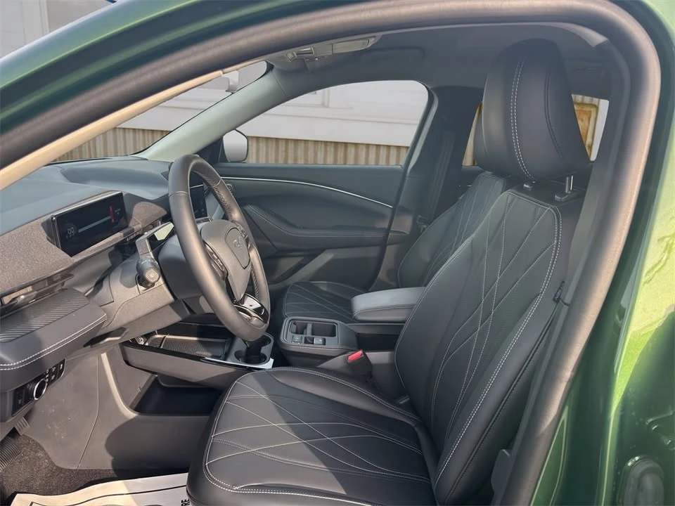 2025 Ford Mustang Mach-E - Image 19 of 20