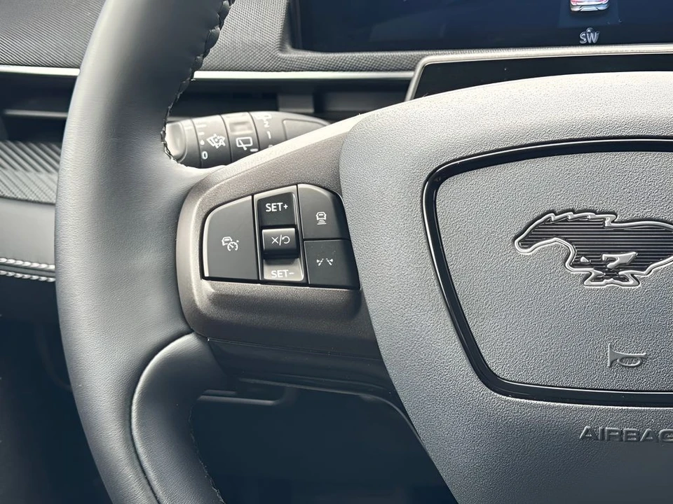 2025 Ford Mustang Mach-E - Image 16 of 31