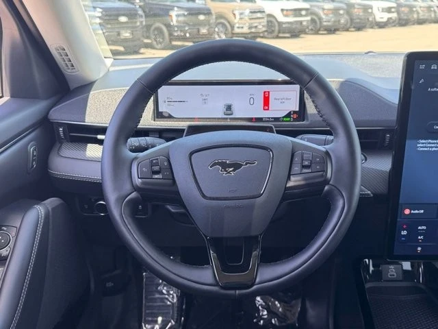 2025 Ford Mustang Mach-E - Image 21 of 30