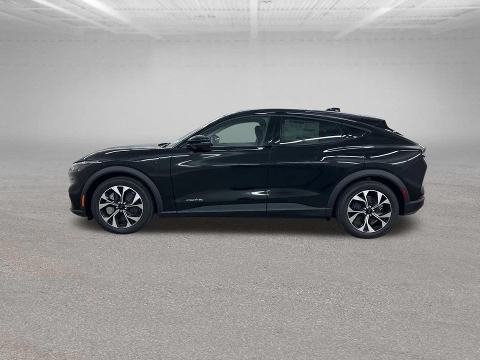 2025 Ford Mustang Mach-E - Image 6 of 12