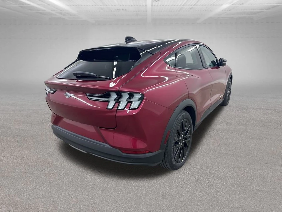 2025 Ford Mustang Mach-E - Image 11 of 12