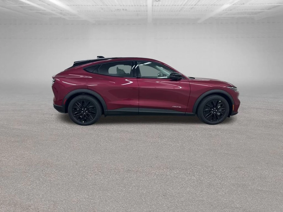 2025 Ford Mustang Mach-E - Image 12 of 12