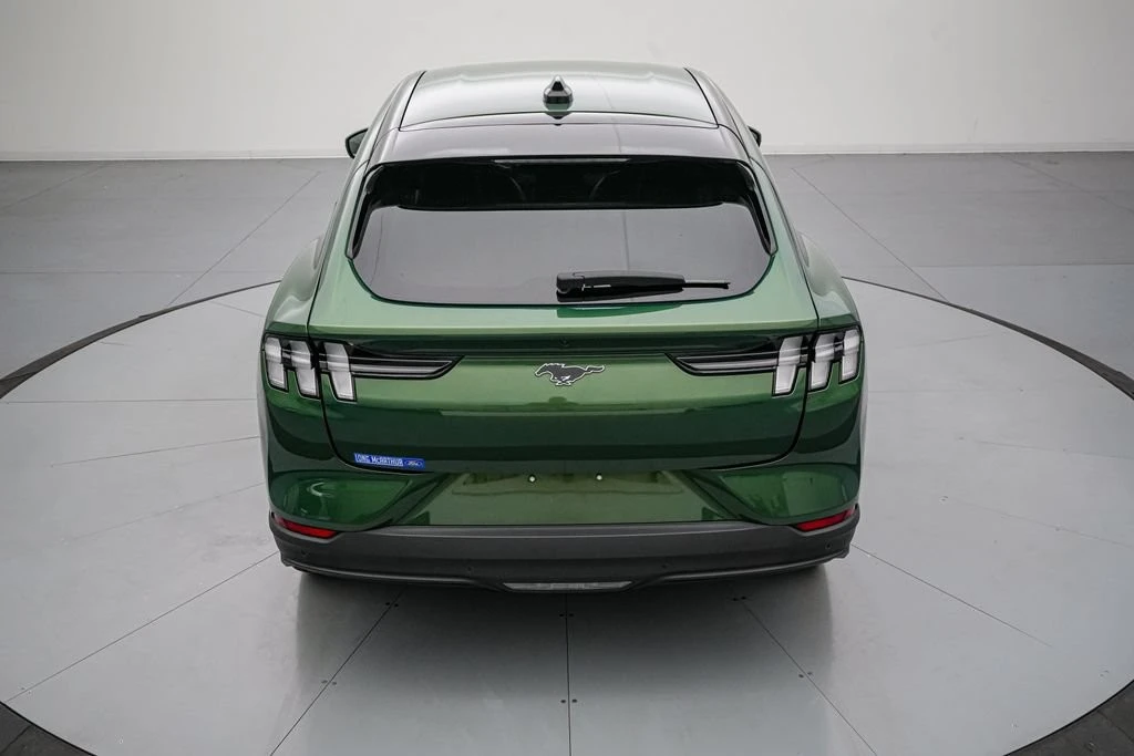 2025 Ford S650 Mustang - Image 6 of 31