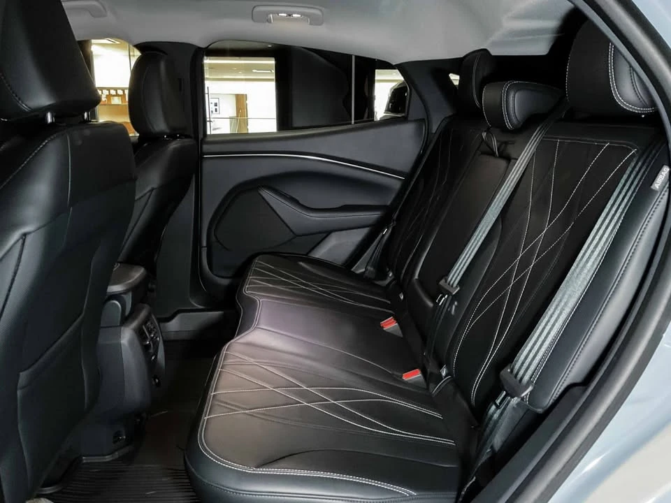 2025 Ford Mustang Mach-E - Image 19 of 19