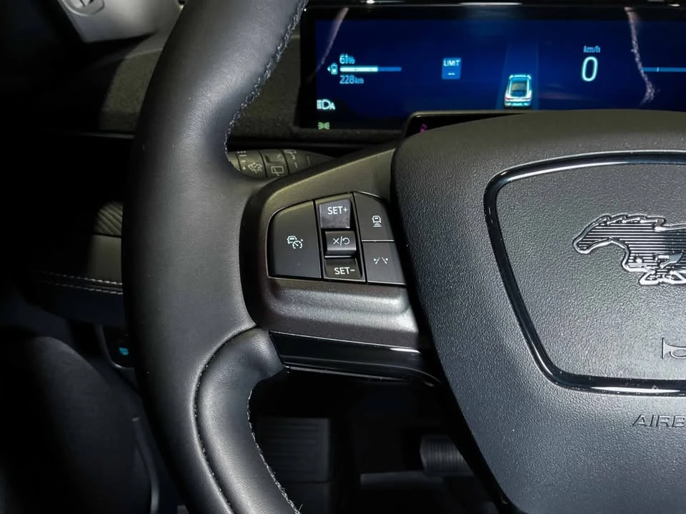2025 Ford Mustang Mach-E - Image 14 of 19