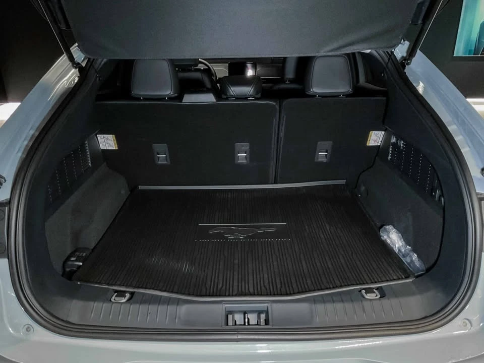 2025 Ford Mustang Mach-E - Image 20 of 20