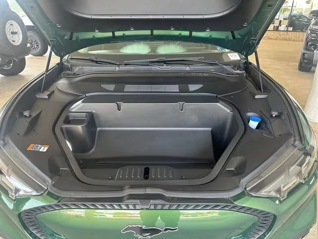 2025 Ford Mustang Mach-E - Image 10 of 15