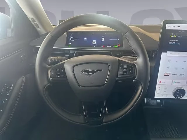 2025 Ford Mustang Mach-E - Image 15 of 15