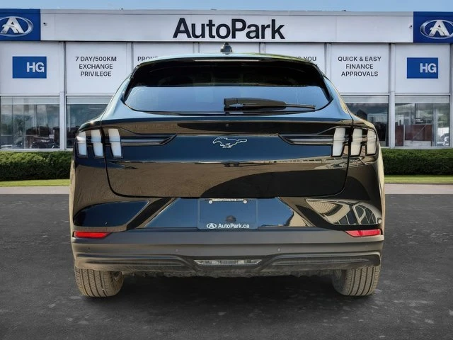 2025 Ford Mustang Mach-E - Image 4 of 20