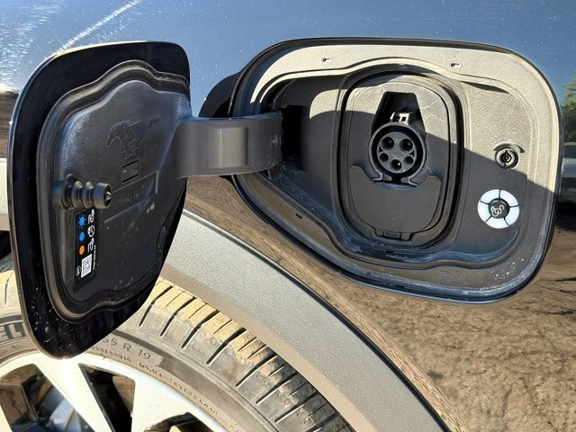2025 Ford Mustang Mach-E - Image 10 of 20
