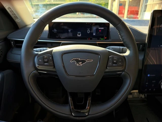 2025 Ford Mustang Mach-E - Image 18 of 20