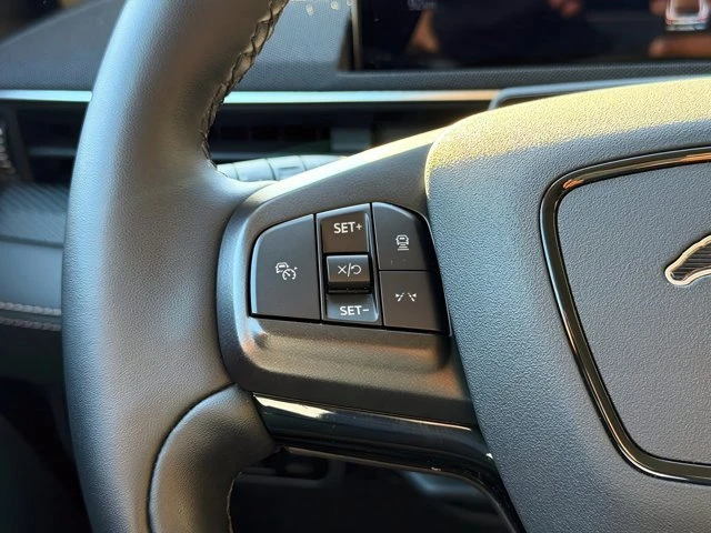 2025 Ford Mustang Mach-E - Image 19 of 20