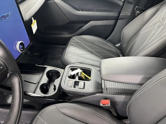 2025 Ford Mustang Mach-E - Image 15 of 20