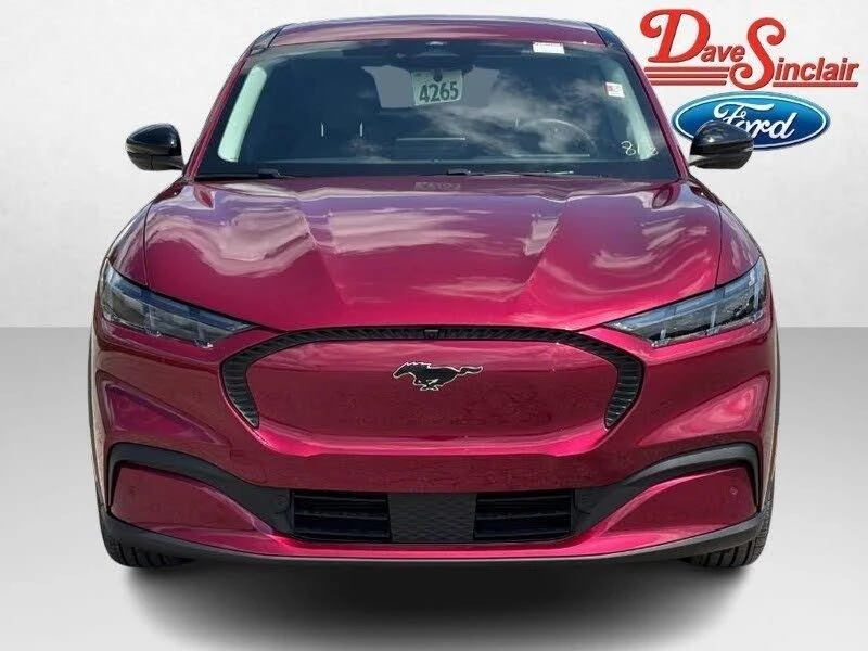 2025 Ford Mustang Mach-E - Image 2 of 20