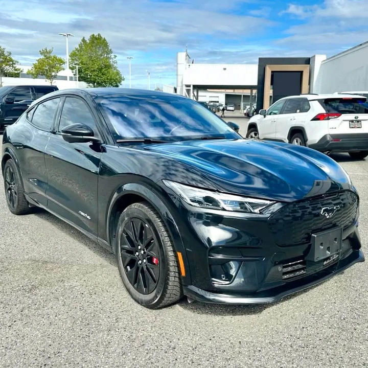 2025 Ford Mustang Mach-E - Image 9 of 9