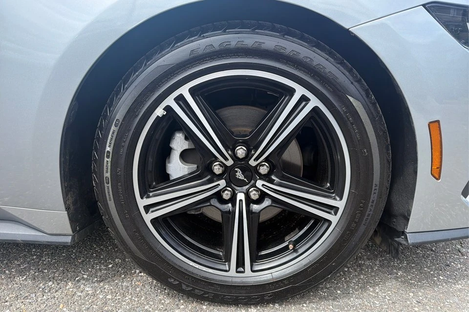 2025 Ford S650 Mustang - Image 19 of 20