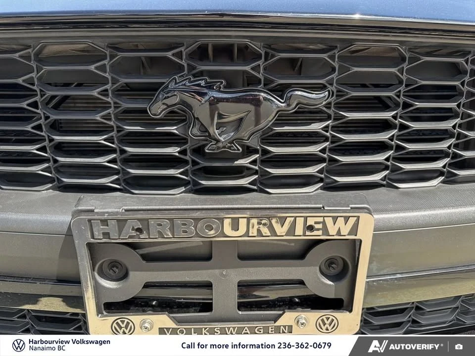 2025 Ford S650 Mustang - Image 9 of 10