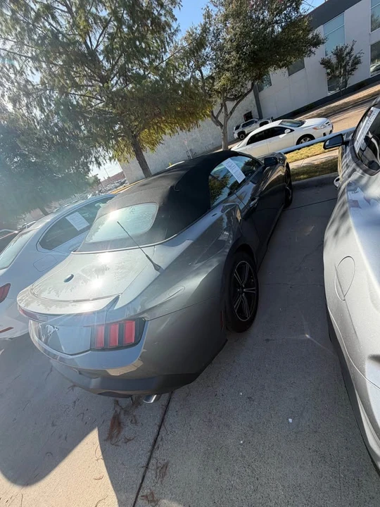 2025 Ford S650 Mustang - Image 10 of 11