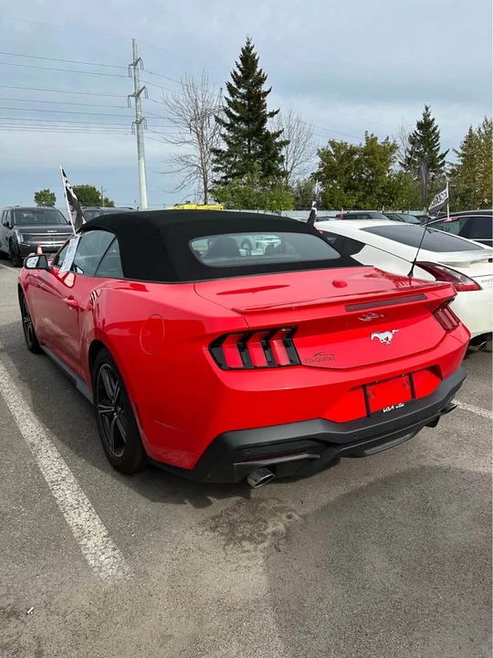 2025 Ford S650 Mustang - Image 2 of 6