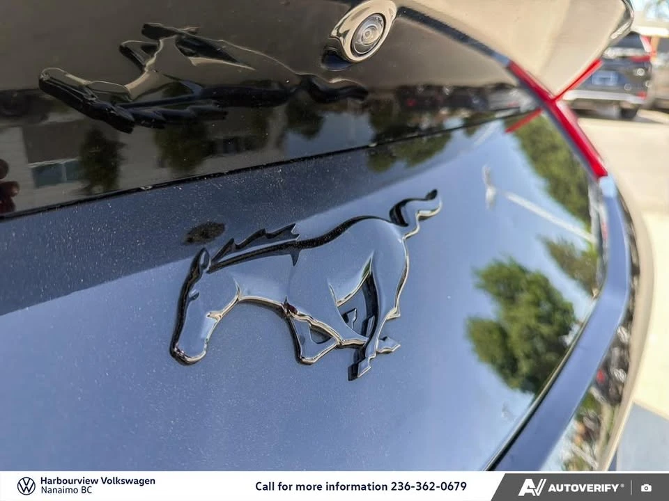 2025 Ford S650 Mustang - Image 10 of 10