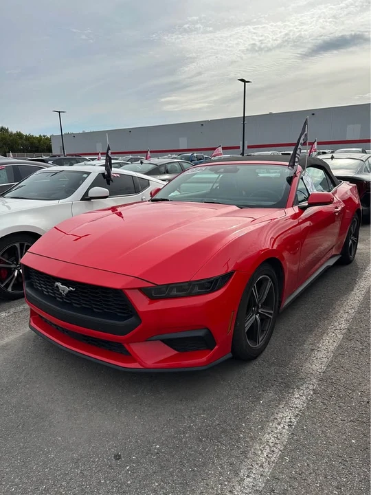 2025 Ford S650 Mustang - Image 4 of 6