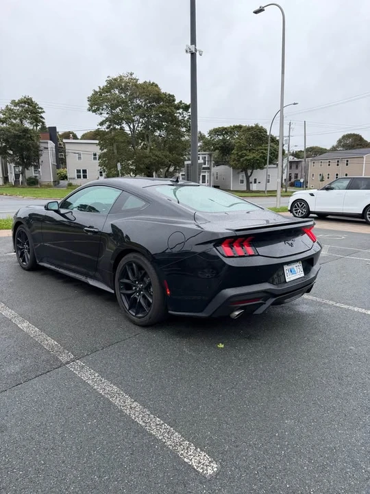 2025 Ford S650 Mustang - Image 3 of 6