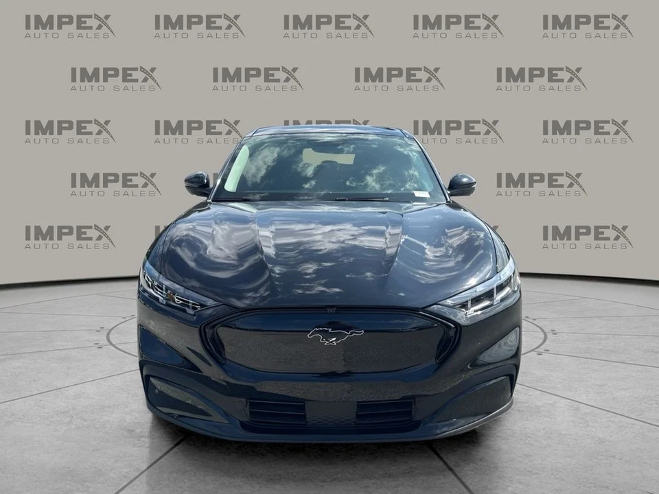 2025 Ford S650 Mustang - Image 8 of 31
