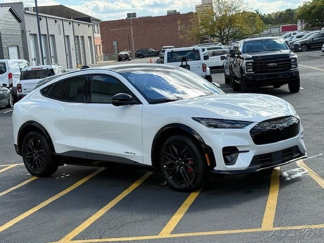2025 Ford S650 Mustang - Image 9 of 12