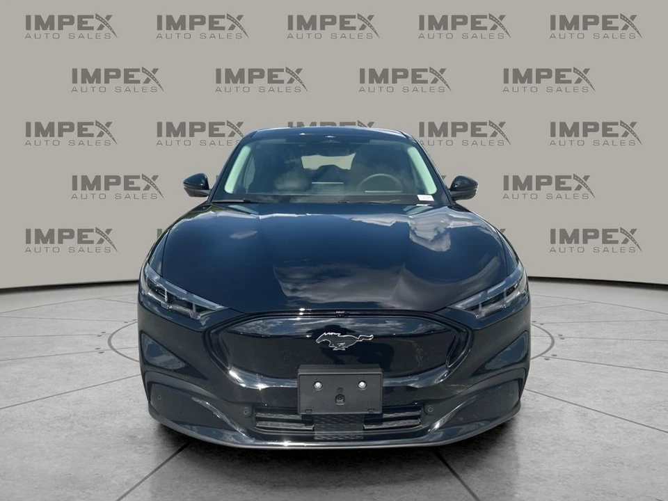 2025 Ford S650 Mustang - Image 8 of 31