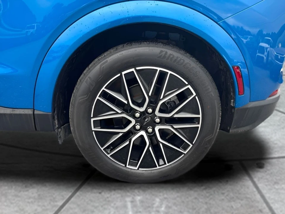 2025 Ford S650 Mustang - Image 19 of 22