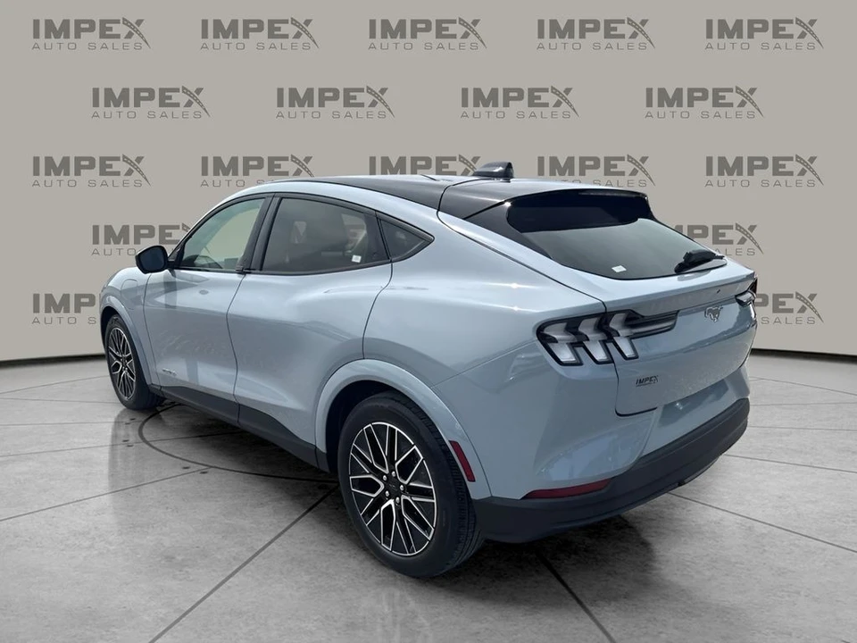 2025 Ford S650 Mustang - Image 2 of 22