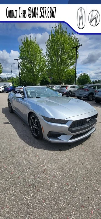 2025 Ford S650 Mustang - Image 4 of 13