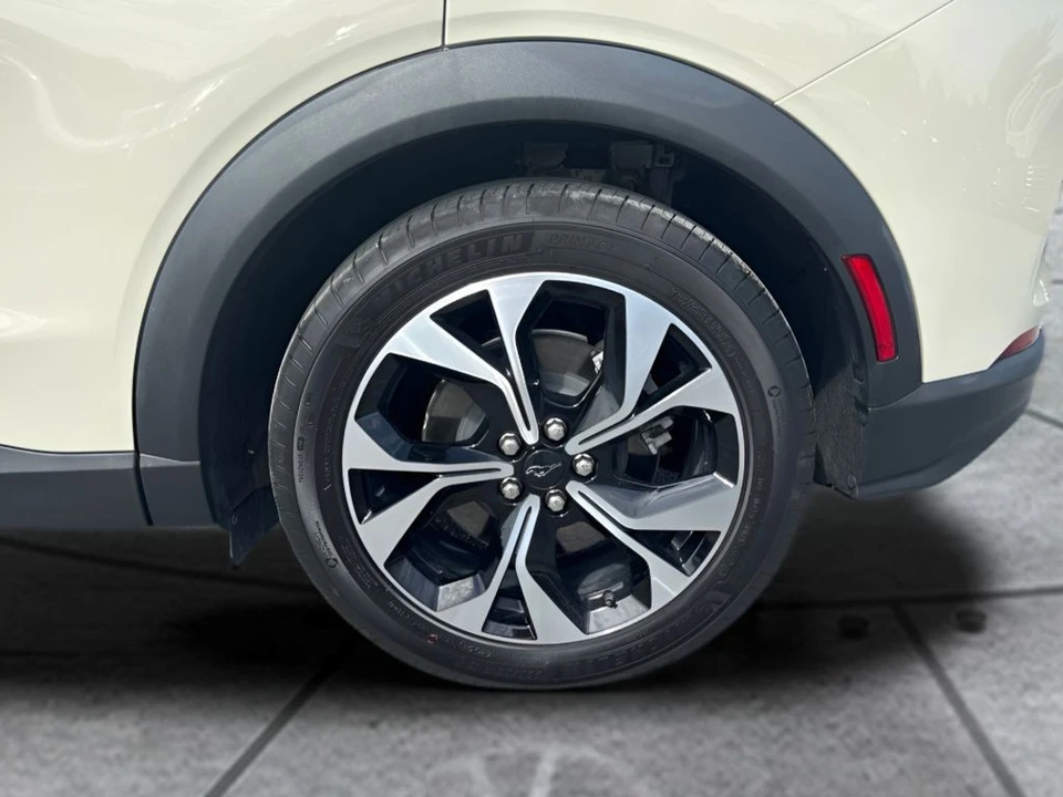 2025 Ford S650 Mustang - Image 20 of 22