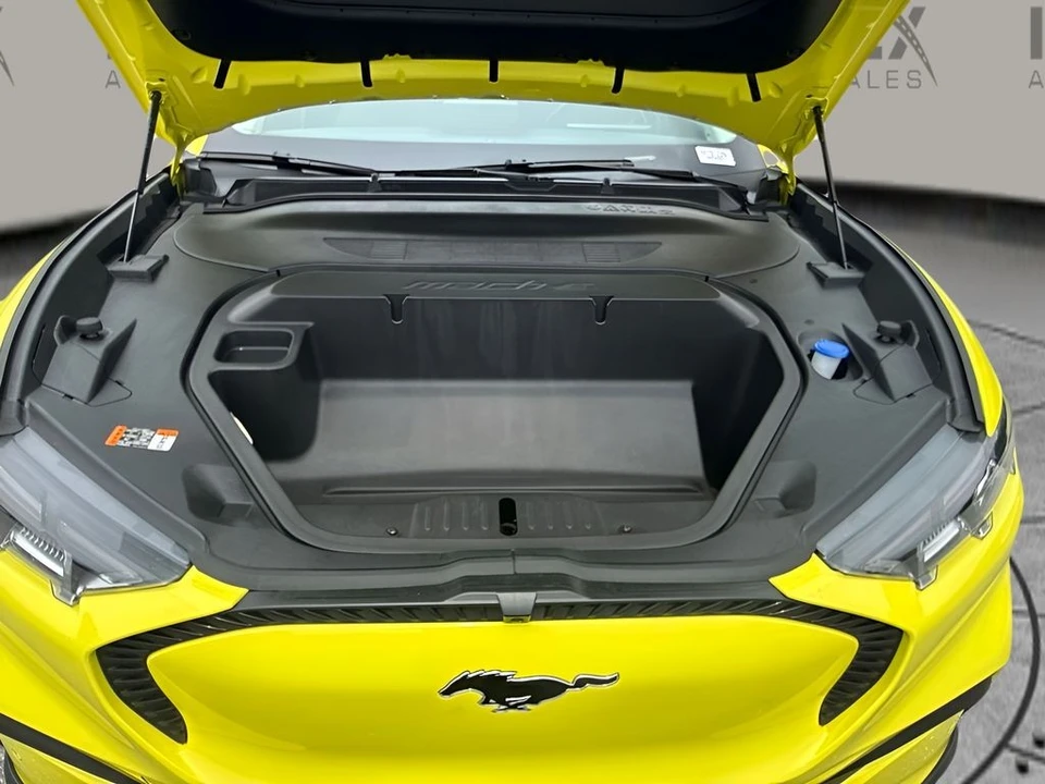 2025 Ford S650 Mustang - Image 19 of 22