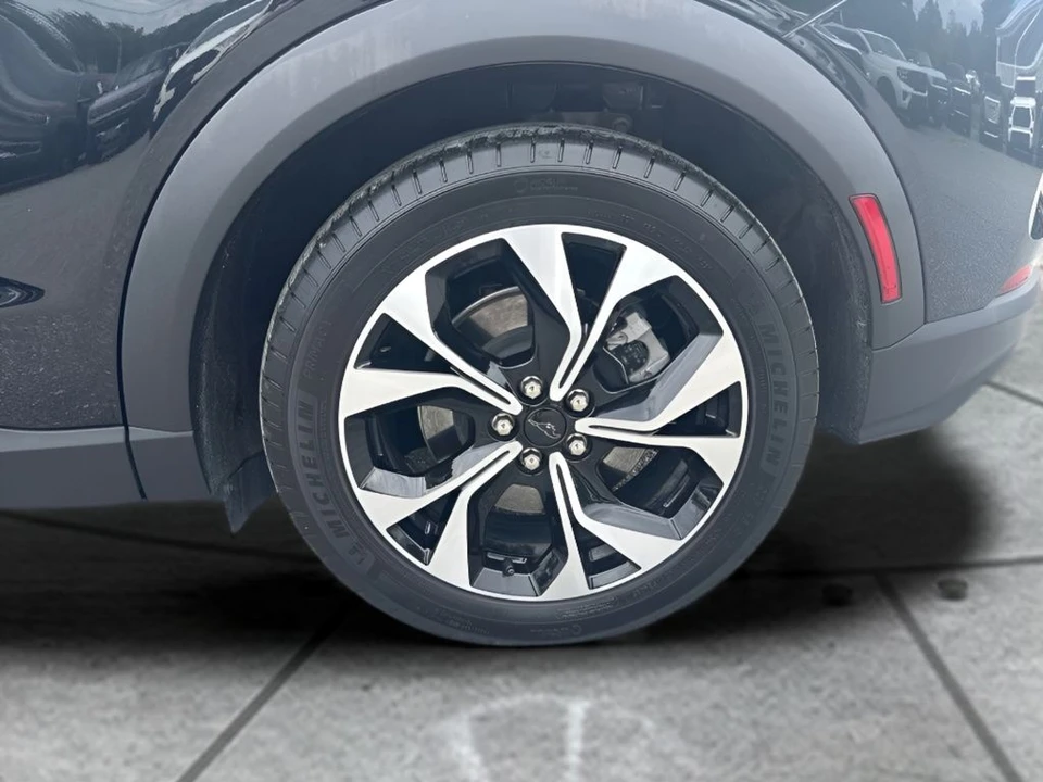 2025 Ford S650 Mustang - Image 23 of 24