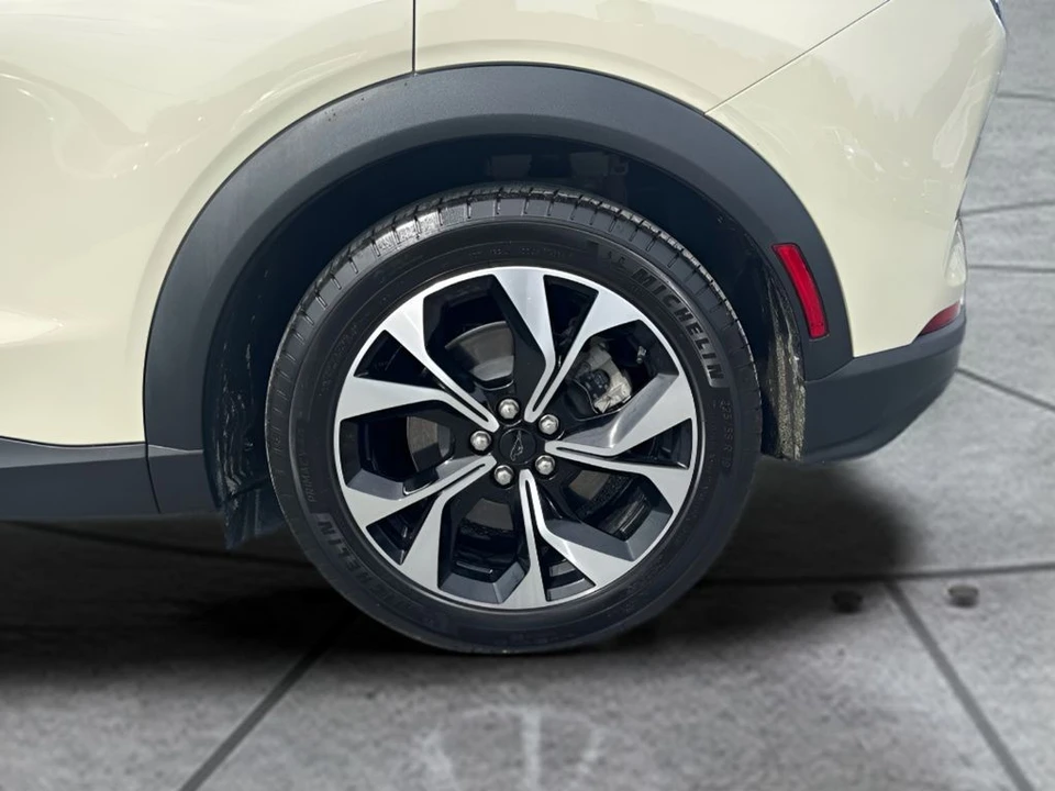 2025 Ford S650 Mustang - Image 21 of 24